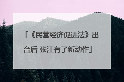 《民营经济促进法》出台后 张江有了新动作