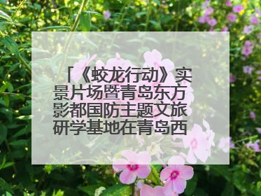 《蛟龙行动》实景片场暨青岛东方影都国防主题文旅研学基地在青岛西海岸新区开业