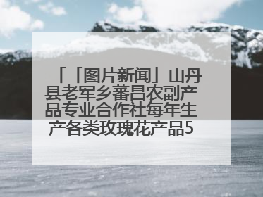 「图片新闻」山丹县老军乡蕃昌农副产品专业合作社每年生产各类玫瑰花产品500多吨