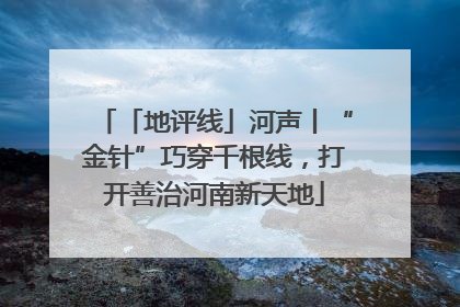 「地评线」河声丨“金针”巧穿千根线，打开善治河南新天地