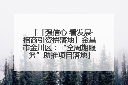 「强信心 看发展·招商引资拼落地」金昌市金川区：“全周期服务”助推项目落地
