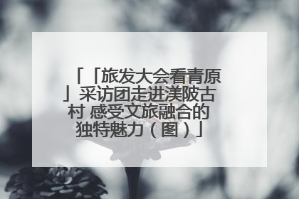 「旅发大会看青原」采访团走进渼陂古村 感受文旅融合的独特魅力（图）