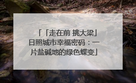 「走在前 挑大梁」日照城市幸福密码：一片盐碱地的绿色蝶变