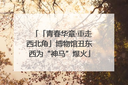 「青春华章·重走西北角」博物馆丑东西为“神马”爆火