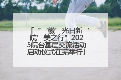 “‘徽’光日新‘皖’美之行”2025皖台基层交流活动启动仪式在芜举行