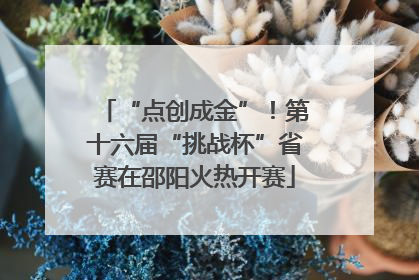 “点创成金”！第十六届“挑战杯”省赛在邵阳火热开赛