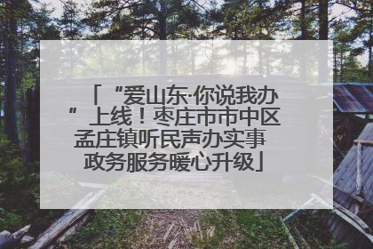 “爱山东·你说我办”上线！枣庄市市中区孟庄镇听民声办实事 政务服务暖心升级