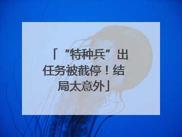 “特种兵”出任务被截停！结局太意外
