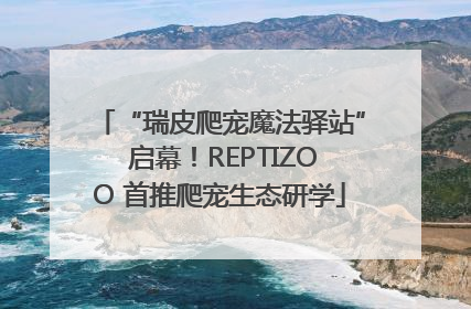 “瑞皮爬宠魔法驿站” 启幕！REPTIZOO 首推爬宠生态研学