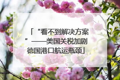 “看不到解决方案”——美国关税加剧德国港口航运瓶颈