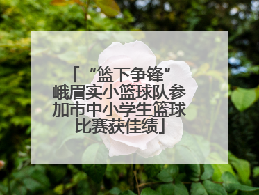 “篮下争锋” 峨眉实小篮球队参加市中小学生篮球比赛获佳绩