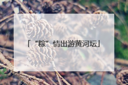 “粽”情出游黄河坛