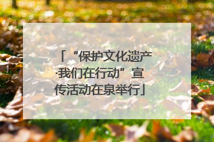 “保护文化遗产·我们在行动”宣传活动在泉举行