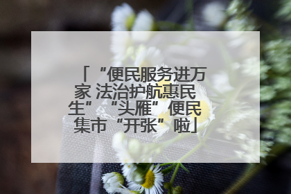 “便民服务进万家 法治护航惠民生”“头雁”便民集市“开张”啦