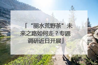 “丽水荒野茶”未来之路如何走？专题调研近日开展