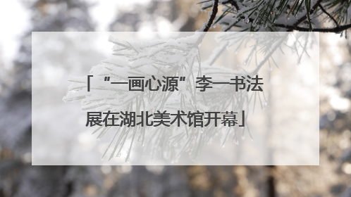 “一画心源”李一书法展在湖北美术馆开幕