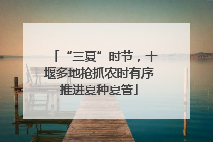 “三夏”时节，十堰多地抢抓农时有序推进夏种夏管