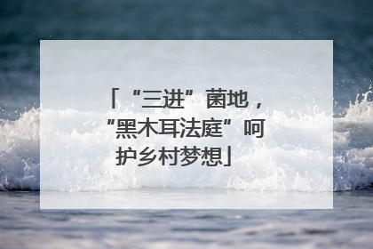 “三进”菌地，“黑木耳法庭”呵护乡村梦想