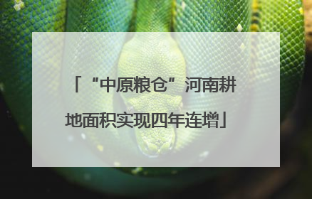 “中原粮仓”河南耕地面积实现四年连增