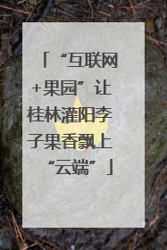 “互联网+果园”让桂林灌阳李子果香飘上“云端”