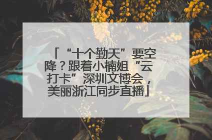 “十个勤天”要空降？跟着小楠姐“云打卡”深圳文博会，美丽浙江同步直播