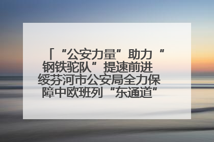 “公安力量”助力“钢铁驼队”提速前进 绥芬河市公安局全力保障中欧班列“东通道”绥芬河隧道贯通