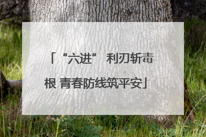 “六进” 利刃斩毒根 青春防线筑平安