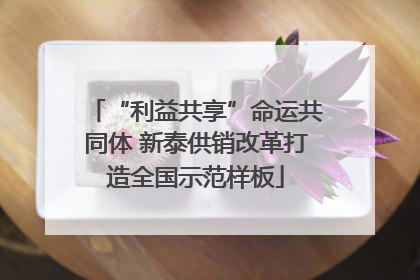 “利益共享”命运共同体 新泰供销改革打造全国示范样板