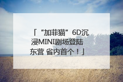 “加菲猫”6D沉浸MINI剧场登陆东营 省内首个！
