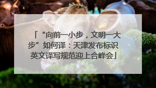“向前一小步，文明一大步”如何译：天津发布标识英文译写规范迎上合峰会