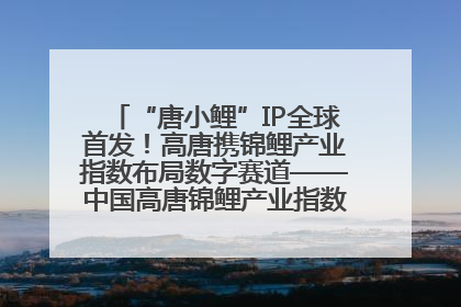 “唐小鲤”IP全球首发！高唐携锦鲤产业指数布局数字赛道——中国高唐锦鲤产业指数暨“唐小鲤”IP全球首发仪式在杭州举行