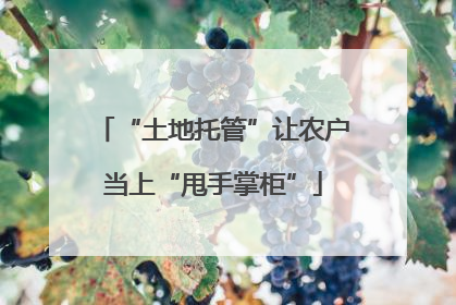 “土地托管”让农户当上“甩手掌柜”