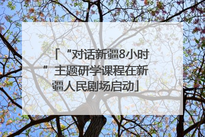 “对话新疆8小时”主题研学课程在新疆人民剧场启动