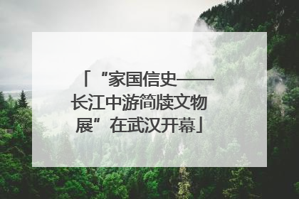 “家国信史——长江中游简牍文物展”在武汉开幕