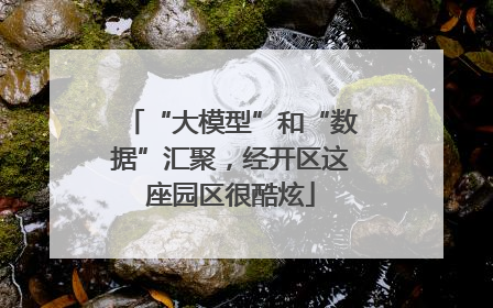 “大模型”和“数据”汇聚，经开区这座园区很酷炫
