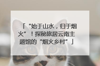“始于山水，归于烟火”！探秘旅居云南主题馆的“烟火乡村”