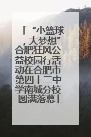 “小篮球，大梦想”合肥狂风公益校园行活动在合肥市第四十二中学南城分校圆满落幕