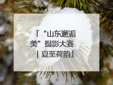 “山东邂逅美”摄影大赛｜夏至荷韵