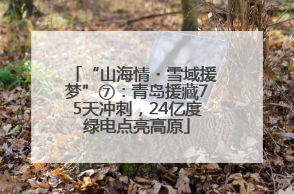 “山海情・雪域援梦”⑦：青岛援藏75天冲刺，24亿度绿电点亮高原