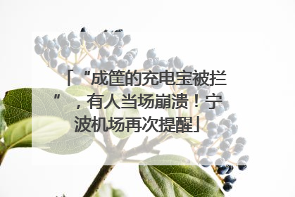 “成筐的充电宝被拦”，有人当场崩溃！宁波机场再次提醒