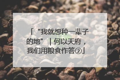 “我就想种一辈子的地”｜何以天府，我们用粮食作答②