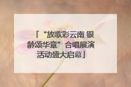 “放歌彩云南 银龄颂华章”合唱展演活动盛大启幕