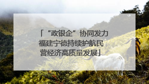 “政银企”协同发力 福建宁德持续护航民营经济高质量发展