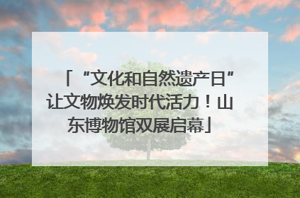 “文化和自然遗产日”让文物焕发时代活力！山东博物馆双展启幕