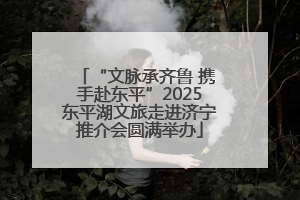 “文脉承齐鲁 携手赴东平”2025东平湖文旅走进济宁推介会圆满举办