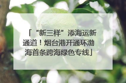 “新三样”添海运新通道！烟台港开通环渤海首条跨海绿色专线