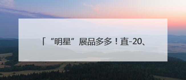 “明星”展品多多！直-20、直-9ME首次亮相巴黎航展