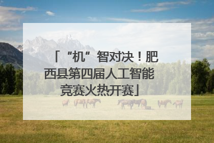 “机”智对决！肥西县第四届人工智能竞赛火热开赛