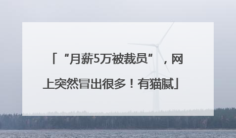 “月薪5万被裁员”，网上突然冒出很多！有猫腻