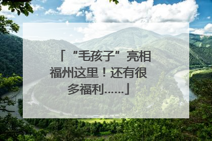 “毛孩子”亮相福州这里！还有很多福利……